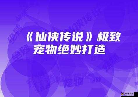 仙侠传说攻略，非R玩家如何通过资源管理艺术与策略打造极品宠物