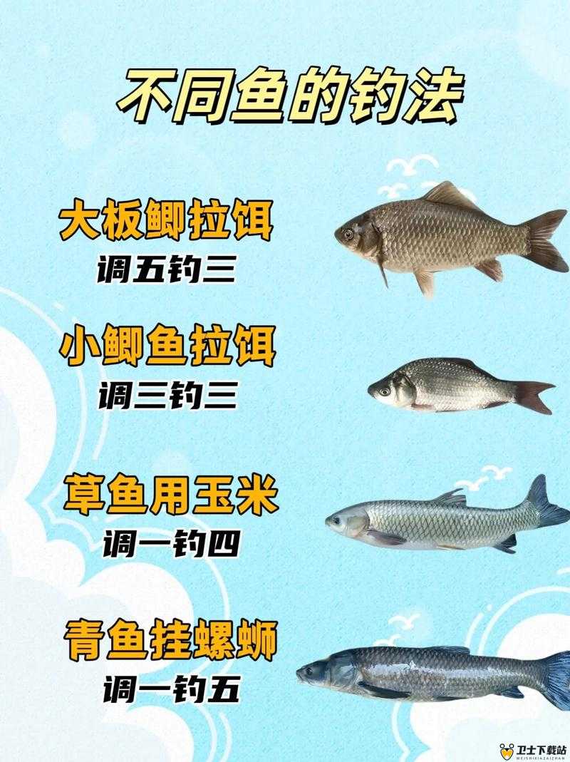 小森生活鳡鱼哪里概率高：探寻最佳垂钓地点与技巧