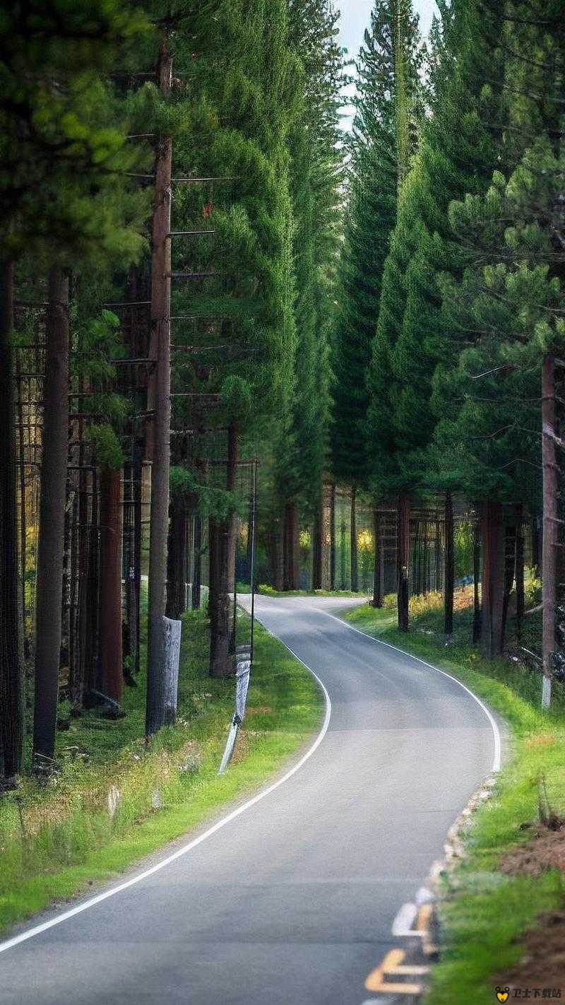 给我看一下你的森林：探寻其中神秘而迷人的风景